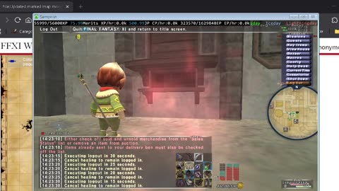 Playing Final Fantasy XI Online