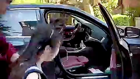 Naughty thief