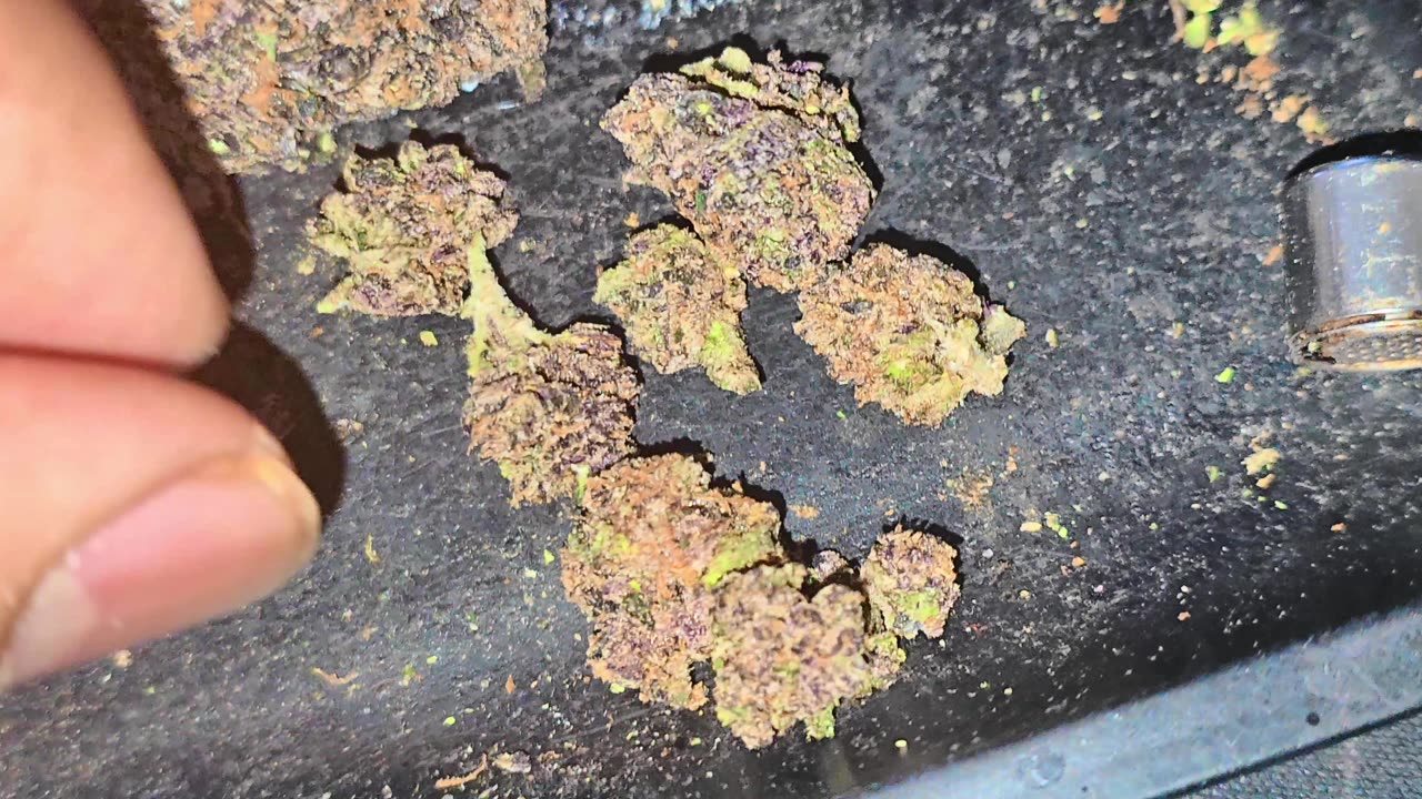 This Strain Left a PERMANENT Mark! 💨 Permanent Maker X Sherbanger 22 Review