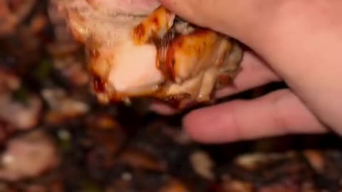 Secret BBQ Recipe Revealed! 🔥 Smoky, Juicy & Unbelievably Flavorful