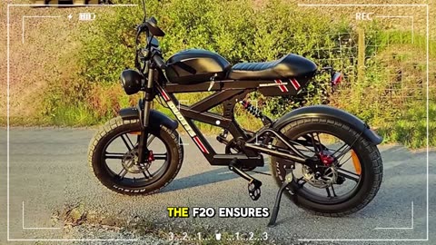 DUOTTS F20 Electric Bike 750w motor 52v 27ah lithium battery 20*4.0inch tire Electric bike