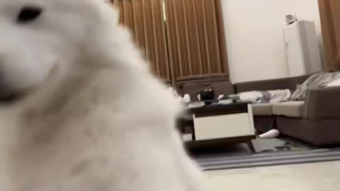 💕💕 The Most Romantic Life Hack For Couples! | LifeHacksDaily