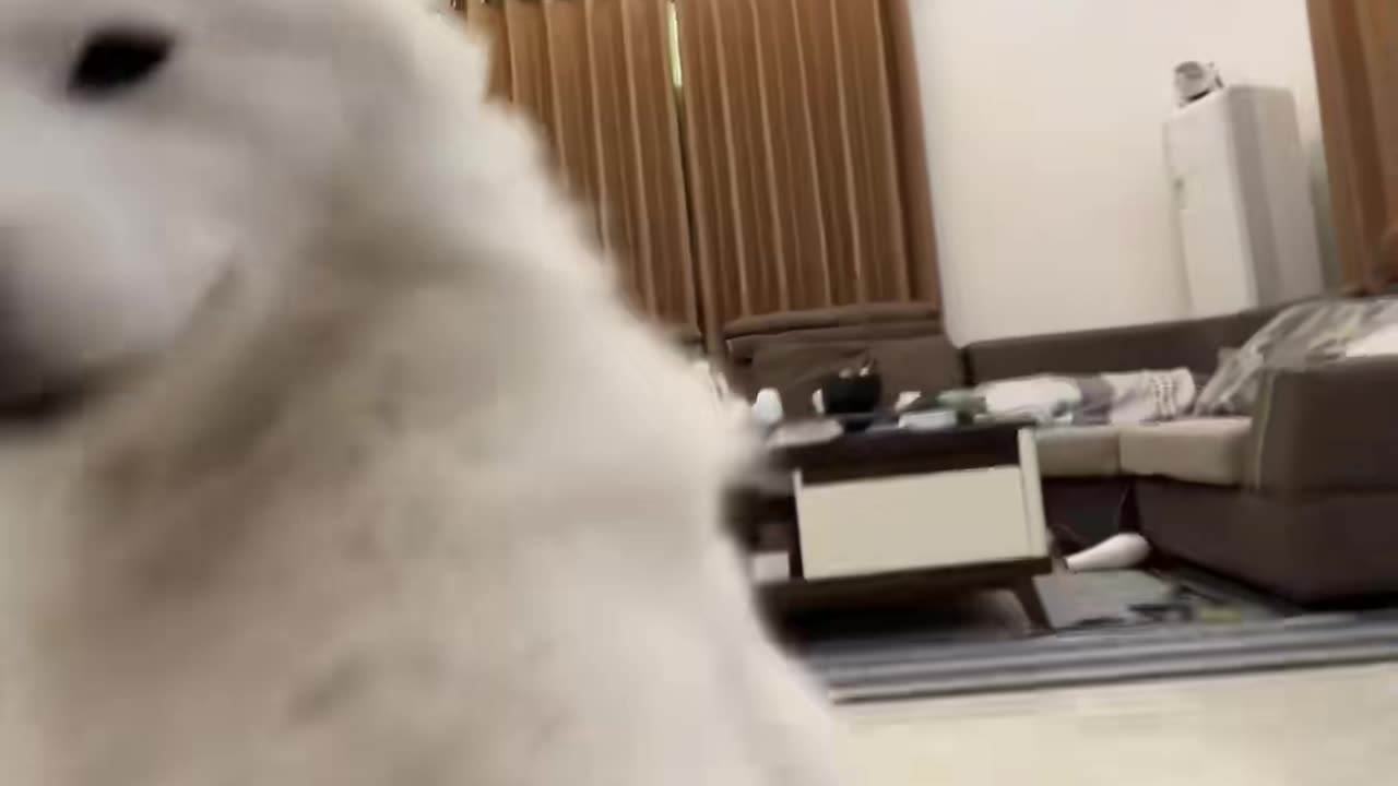 💕💕 The Most Romantic Life Hack For Couples! | LifeHacksDaily