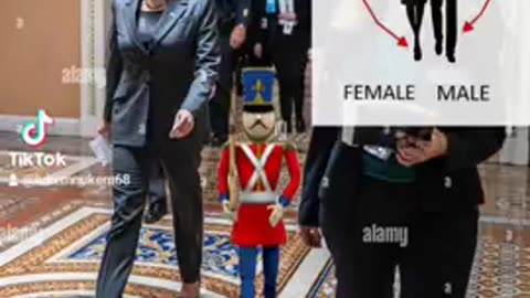 Q GAIT: KAMALA HARRIS