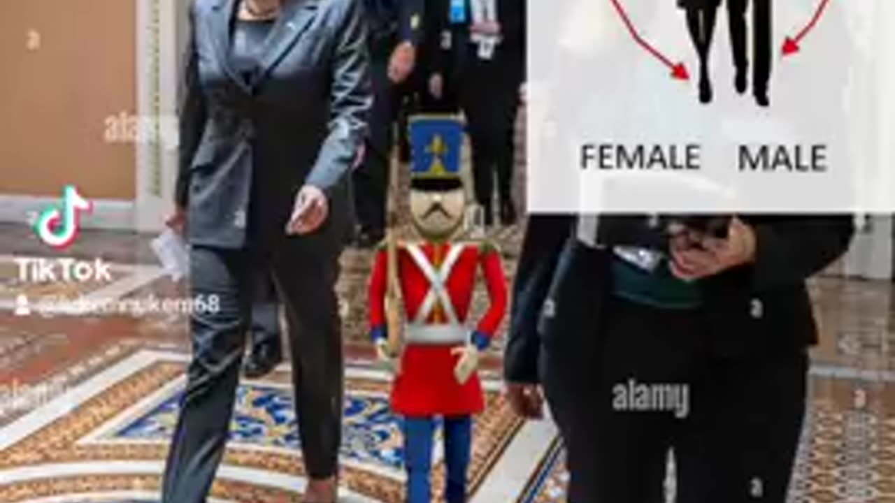 Q GAIT: KAMALA HARRIS