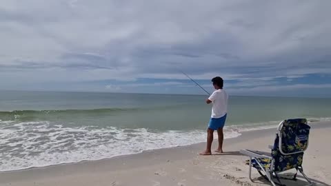 Non-Stop Rod Action with Bait Shrimp – Sea Fishing & Dolphin Encounter