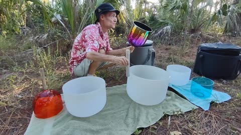 Crystal Singing Bowls Sound Bath, Forest Bath, Miami, Florida, November 26, 2024 - Jedi Shaman