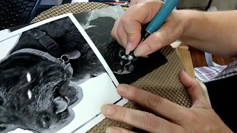 Scottish Terrier - Scratchboard "Scratch & Chat" #2
