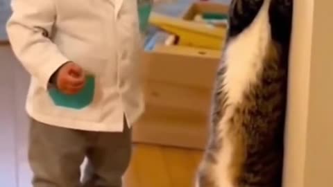 Kids Playing with Dogs and Cats | Cute Baby & Pet Friendship Moments 🐶🐱