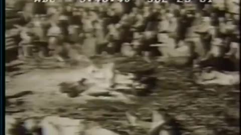 ABC actually reported on Bohemian Grove elites in drag worshipping child sacrifice