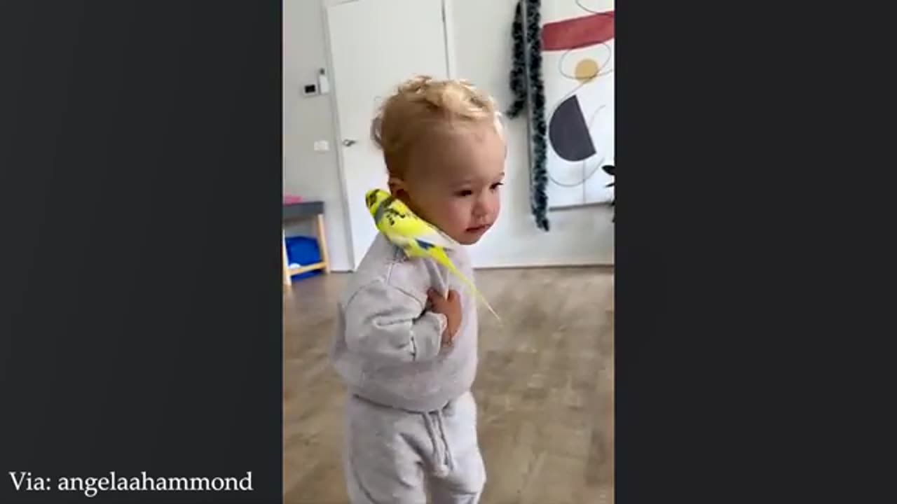 These Gentle Birds Share the Sweetest Connection with Babies