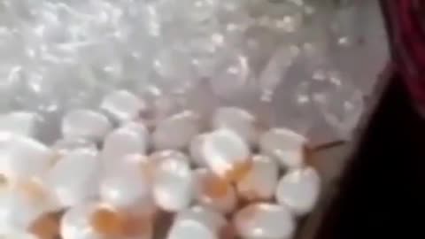 🥚 ARTIFICIAL EGGS FOR BREAKY ANYONE?