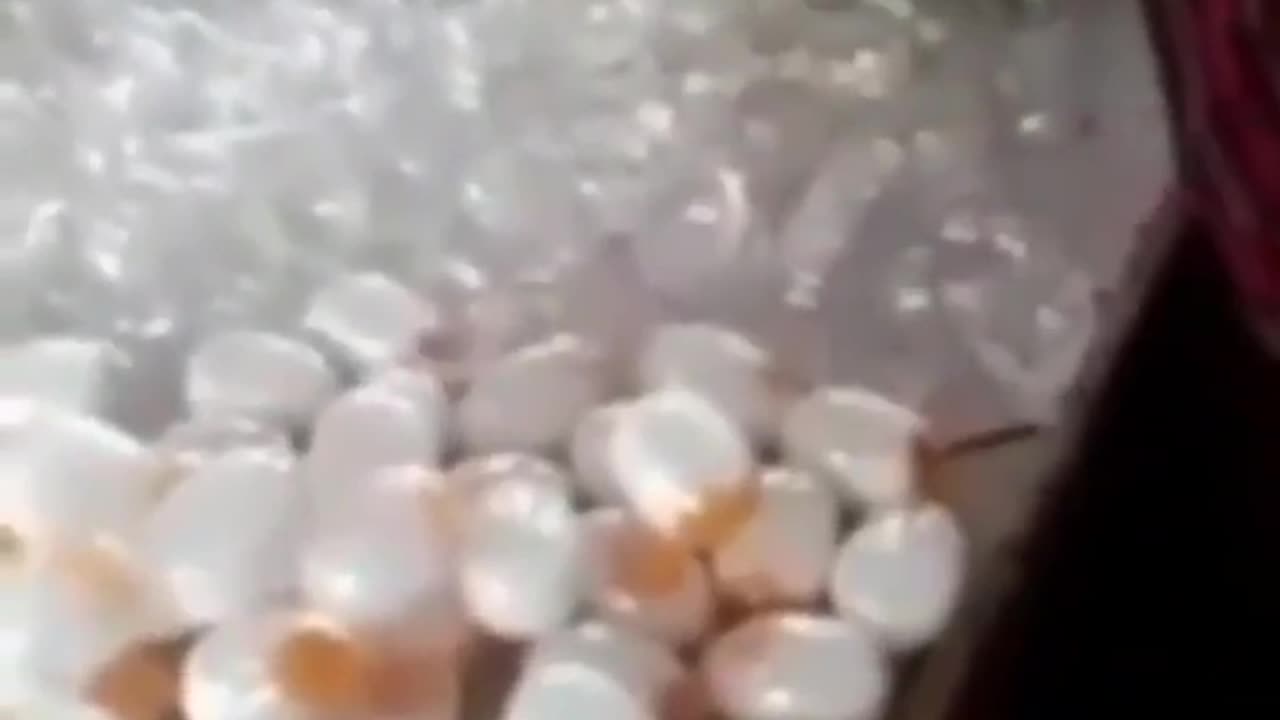 🥚 ARTIFICIAL EGGS FOR BREAKY ANYONE?