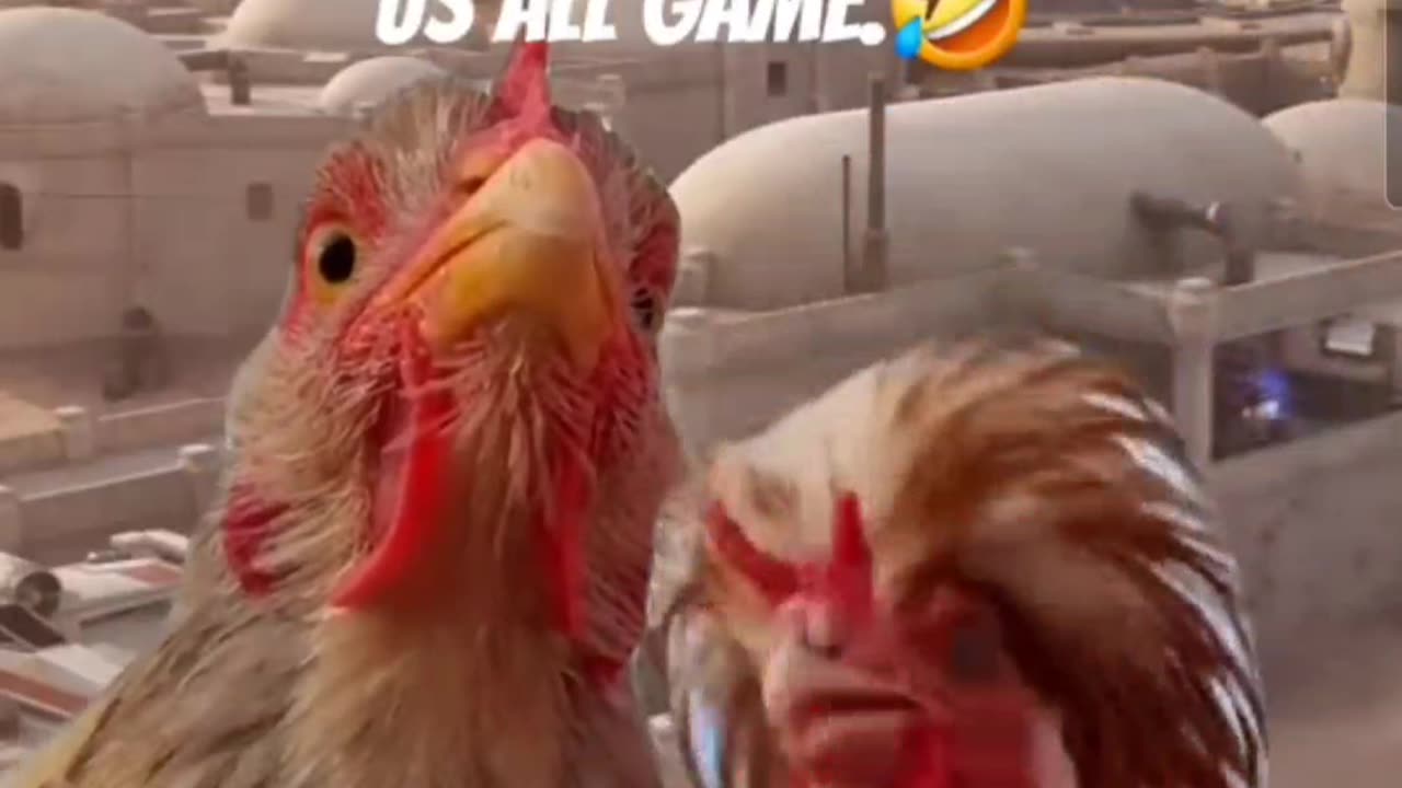 BRO & I TEA BAGGING THE SHIT OUT OF THESE 8YR OLD SWEATS WHO WERE CHASING US ALL GAME