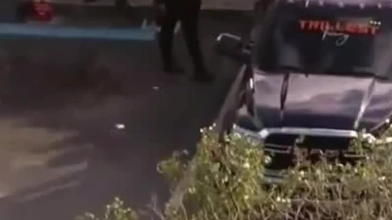 GUN LAWS IN ACTION - VOL. 567: THE SHOOTING OF "REGGIE"