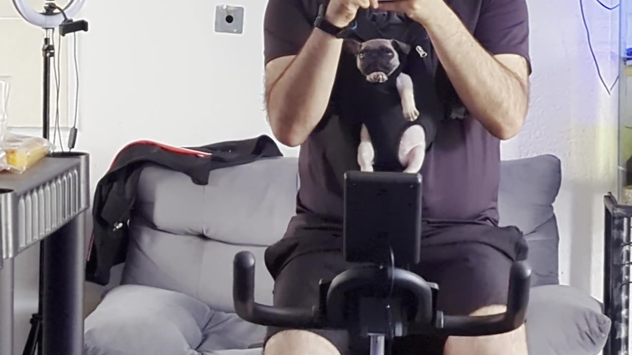 My Faithful Gym Puppy