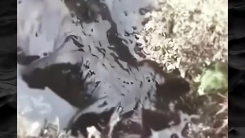 😱👻 You Won't Believe What They Caught on Camera! Creepy Paranormal Activity | TheHauntingHour