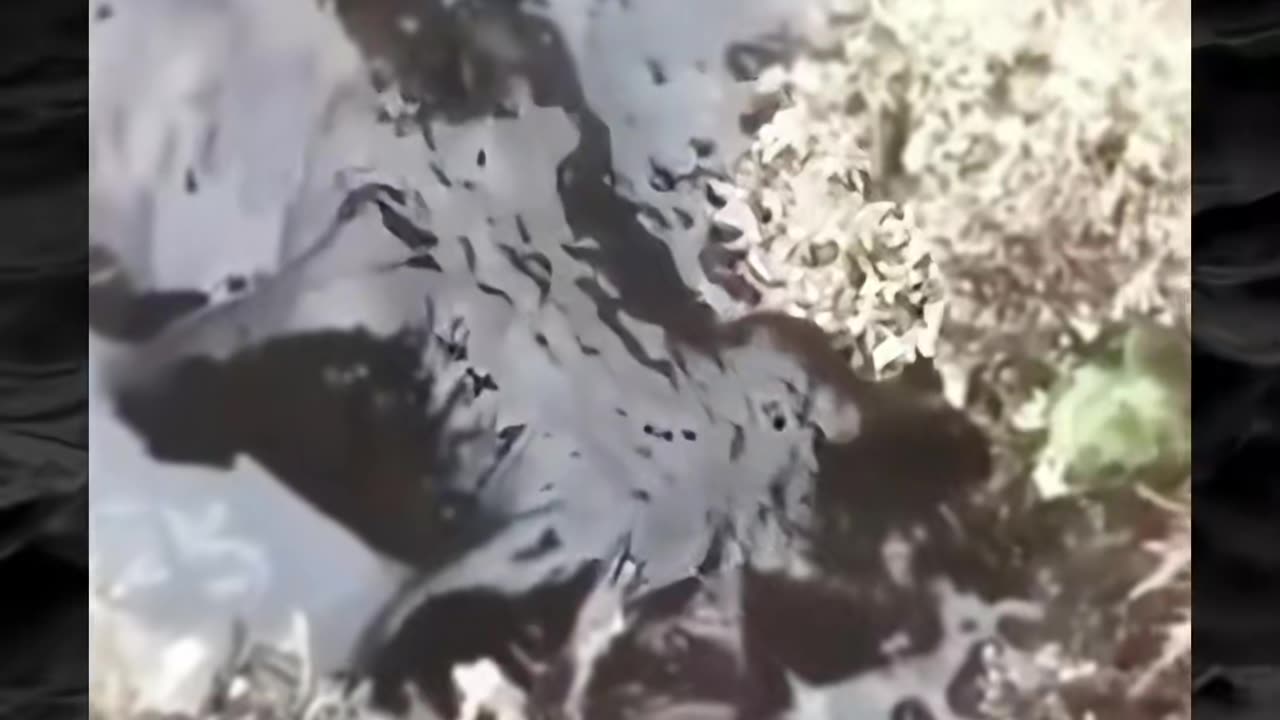 😱👻 You Won't Believe What They Caught on Camera! Creepy Paranormal Activity | TheHauntingHour