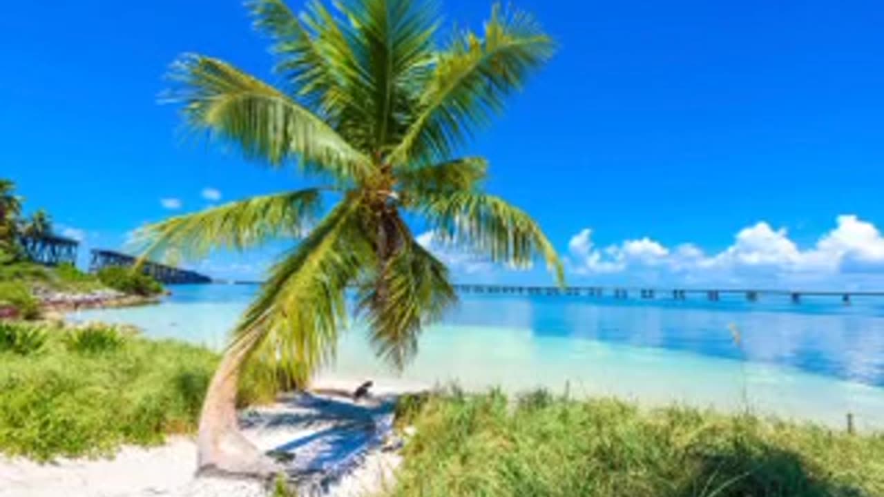10 AMAZING BEACHES IN FLORIDA!🤩