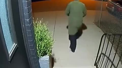 2025 Ultimate Porch Pirate Revenge Compilation