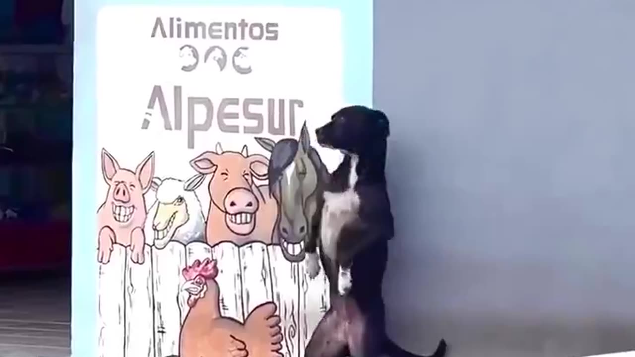 When no one helps, instinct leads. 🐶🥹