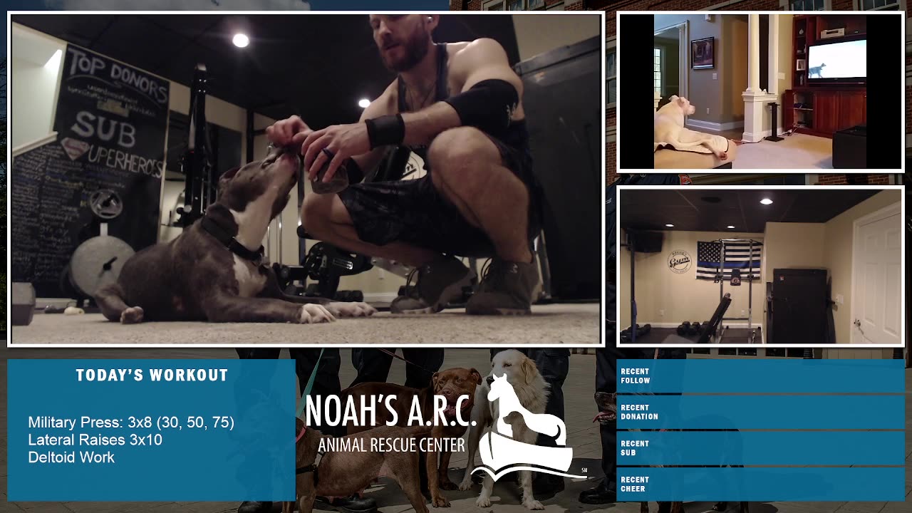 Gym Session w/Hank-a-Tank [Week 21] - Boulder Shoulders // Animal Rescue Stream :)