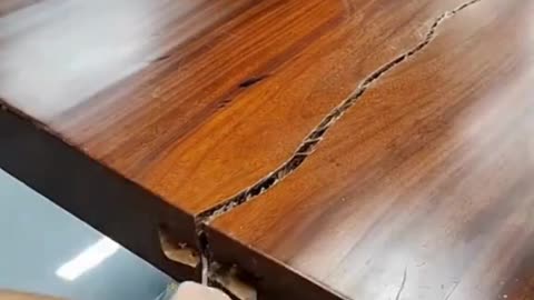 Mending the Split: Wood Restoration in Action!
