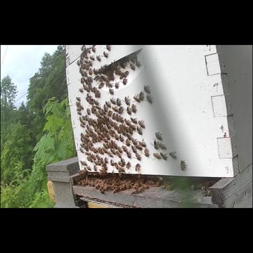 Sunday Morning Sunrise