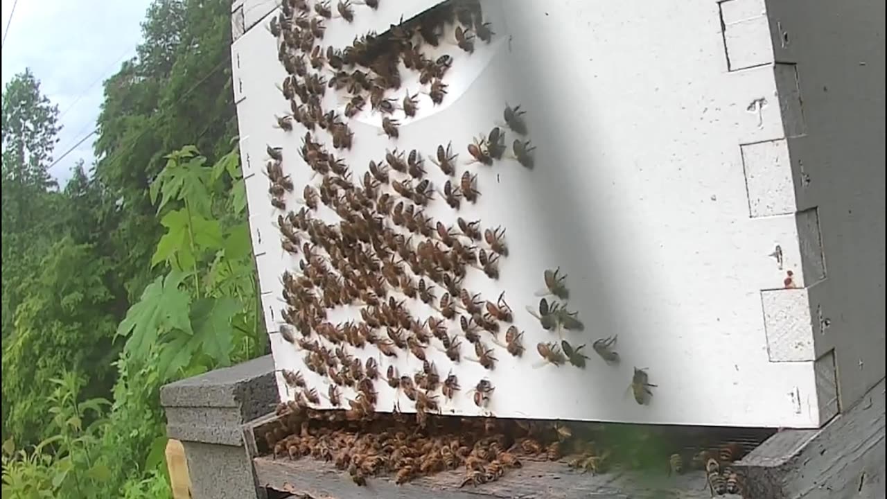 Sunday Morning Sunrise