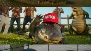 Coming Soon, Alligator Alcatraz, The Cubans - (Florida)