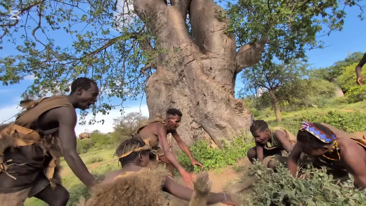 Funny viral video cute baby - This is So incredible See How hadzabe tribe Catch and Cooks their traditional Raw