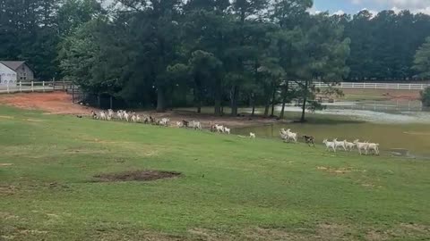 Hurry its Snack Time!!!