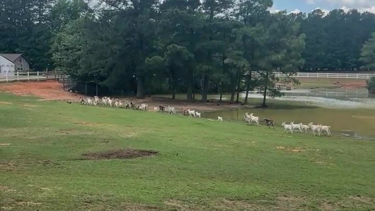 Hurry its Snack Time!!!