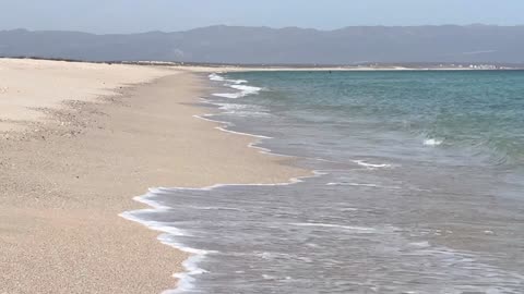 Histamine and Metabolism Introductory step by step presentation