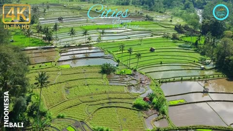 Indonesia - Bali - High Definition