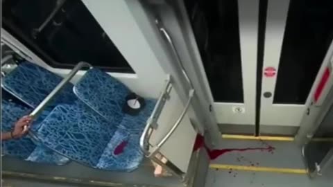 Charlotte train stabbing full graphic video