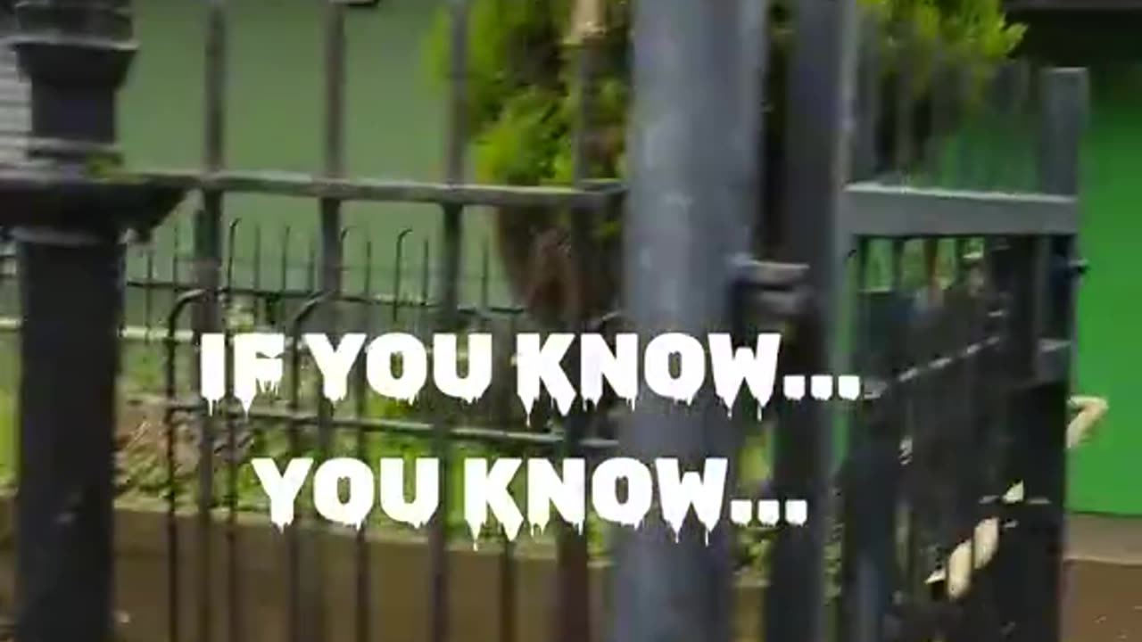 EVERGREEN CONTAINERS IN A YARD AT A YOUTH CENTER