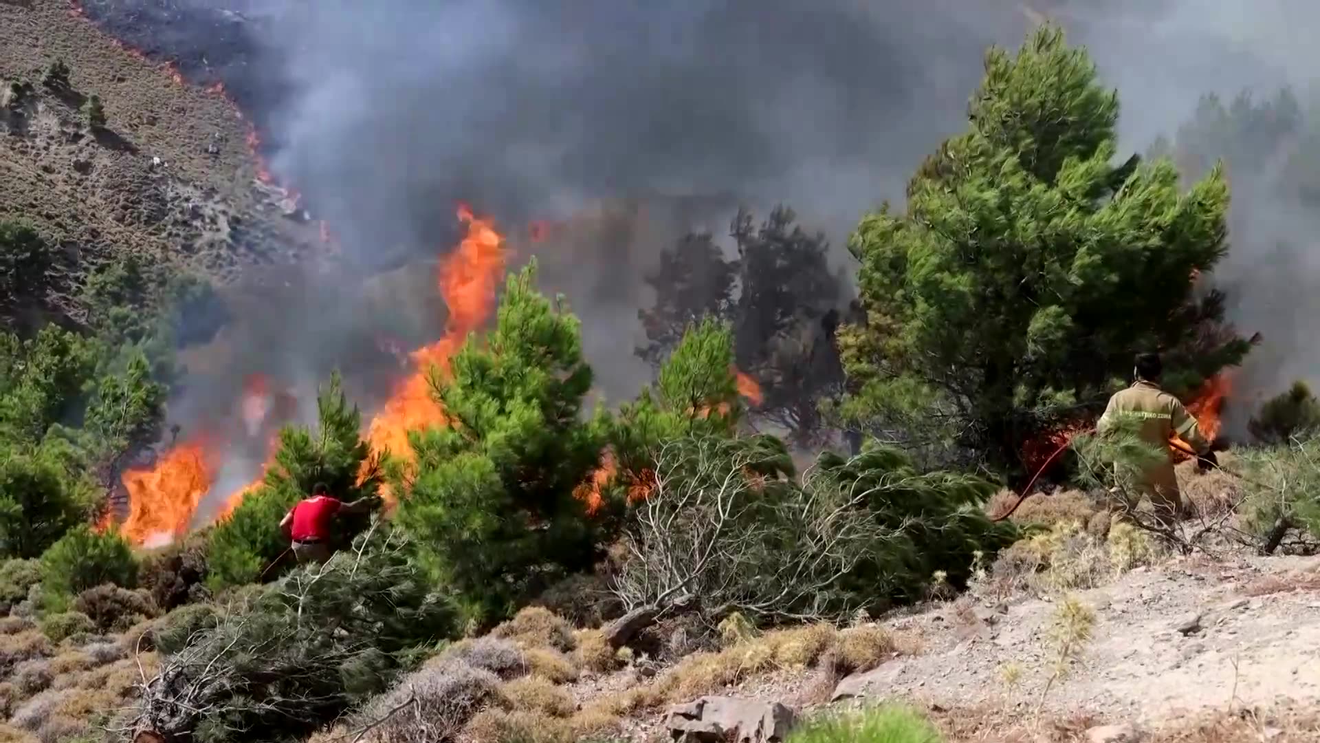 Wildfires fanned by heatwave rage across Europe, forcing evacuations