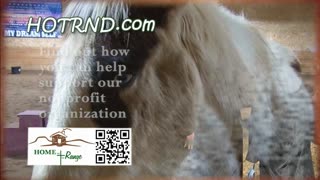 Trent Loos in the Morning - 8/29/2025