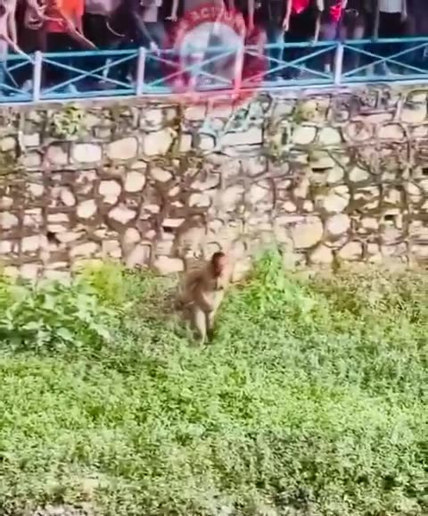 2025.9 ネパールの財務大臣が民衆に襲われる