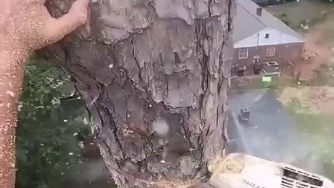 Leave It To The Pros