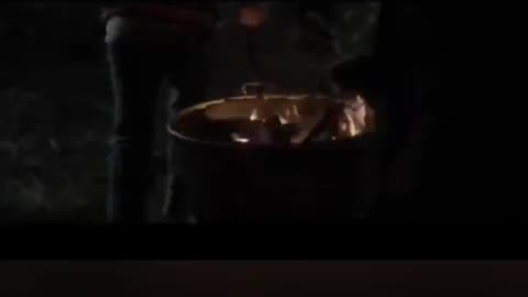 Grizzly Night (2026): Movie Trailer Review: Alfred.vip