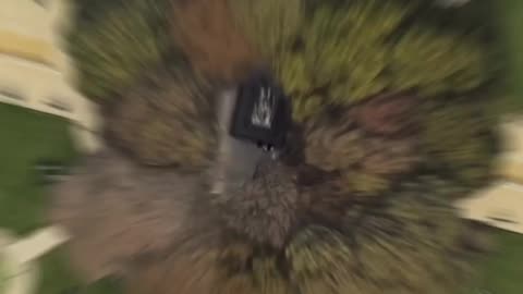 Unpredictable ending