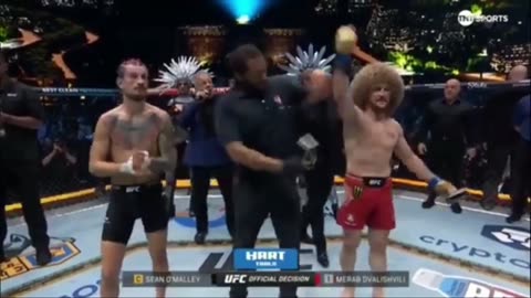 From Nerd To Champ: The Incredible Journey Of UFC Superstar Sean O’Malley