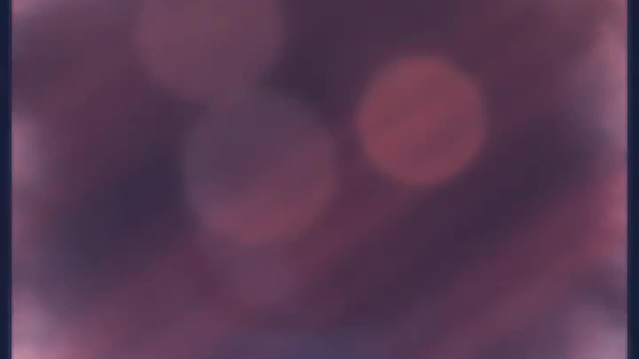 littleDitty What a May Elvis Song