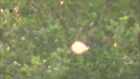 Images d'un orbe incroyablement claires de San Antonio, au Texas