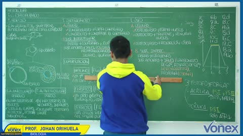 VONEX SEMIANUAL 2025 | Semana 04 | Anatomía