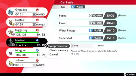 Pokémon Sword Gameplay
