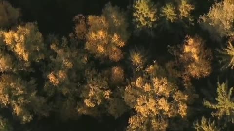 #leviticus 4 - Different sins require different degrees of redemption #bible Study With #jairus