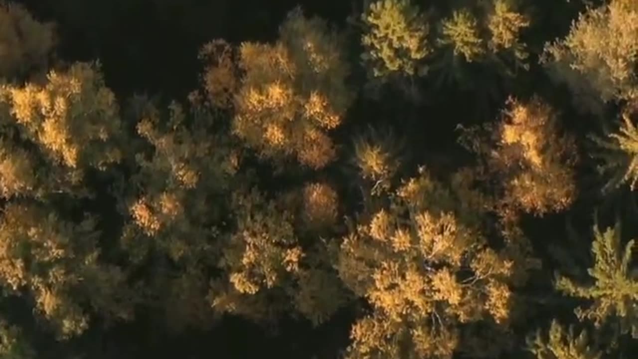 #leviticus 4 - Different sins require different degrees of redemption #bible Study With #jairus